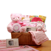 My First Teddy Bear New Baby Gift Basket
